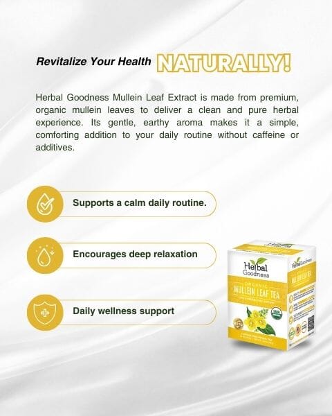 Mullein Leaf Tea - Organic 24 Tea Bags - Respiratory & Lung Tea & Infusions Herbal Goodness 