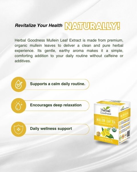Mullein Leaf Tea - Organic 24 Tea Bags - Respiratory & Lung