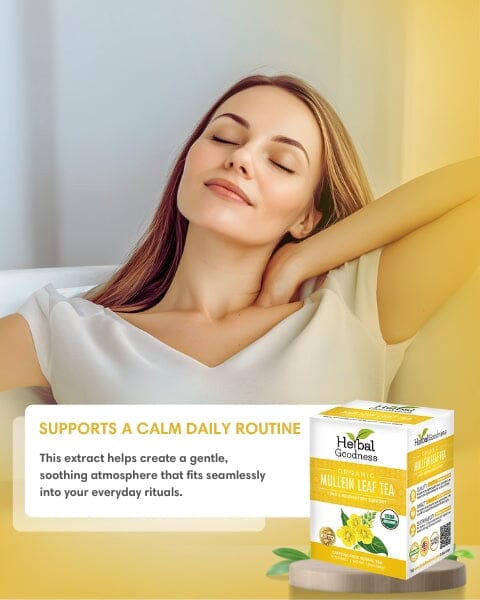 Mullein Leaf Tea - Organic 24 Tea Bags - Respiratory & Lung Tea & Infusions Herbal Goodness 