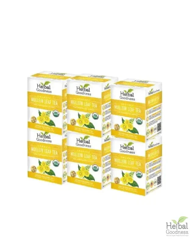 Mullein Leaf Tea - Organic 24 Tea Bags - Respiratory & Lung Tea & Infusions Herbal Goodness Case (6) 
