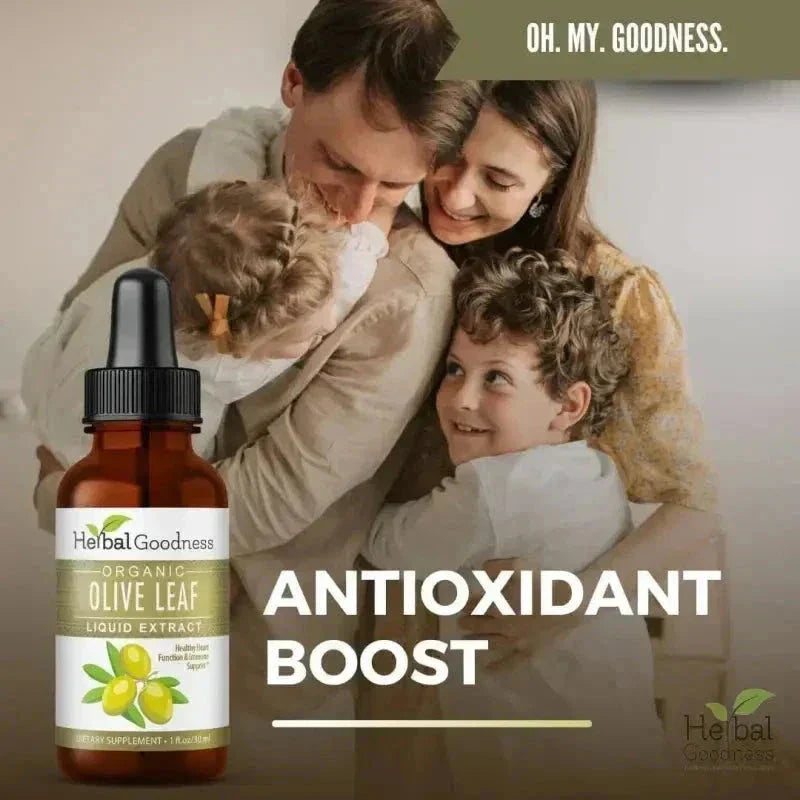 Olive Leaf Organic 15X Liquid | Immunity & Performance | Herbal