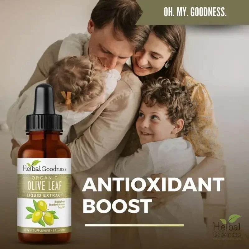 Olive Leaf - Organic 1oz 15X Liquid Extract - Immunity & Performance Liquid Extract Herbal Goodness 