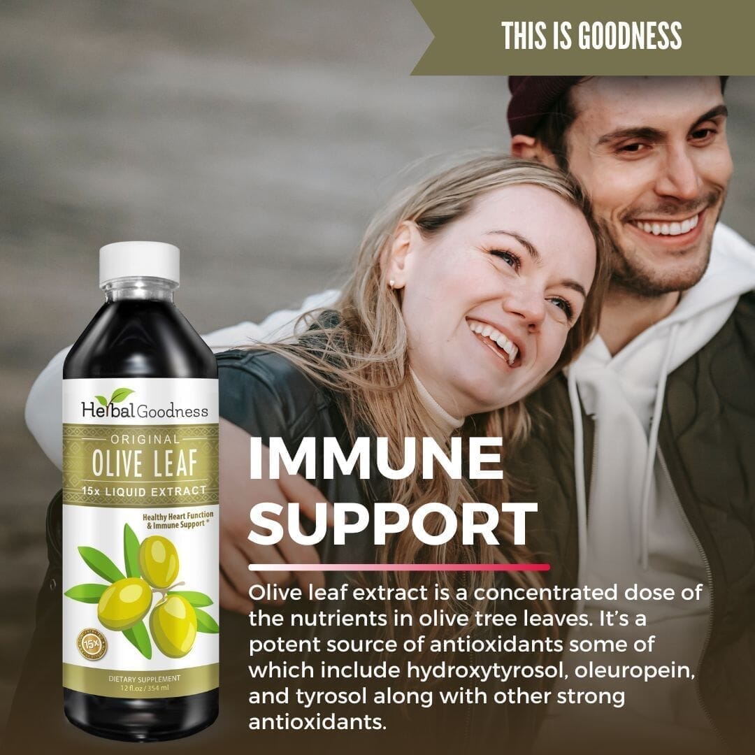Olive Leaf - Organic 1oz 15X Liquid Extract - Immunity & Performance Liquid Extract Herbal Goodness 