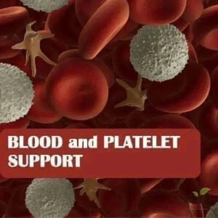 Papaya Leaf Extract Blood Support - Liquid Tincture - Herbal Goodness Liquid Extract Herbal Goodness 