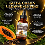 Herbal goodness papaya seed extract 15x organic liquid in dark amber glass bottle with black dropper cap for gut cleanse