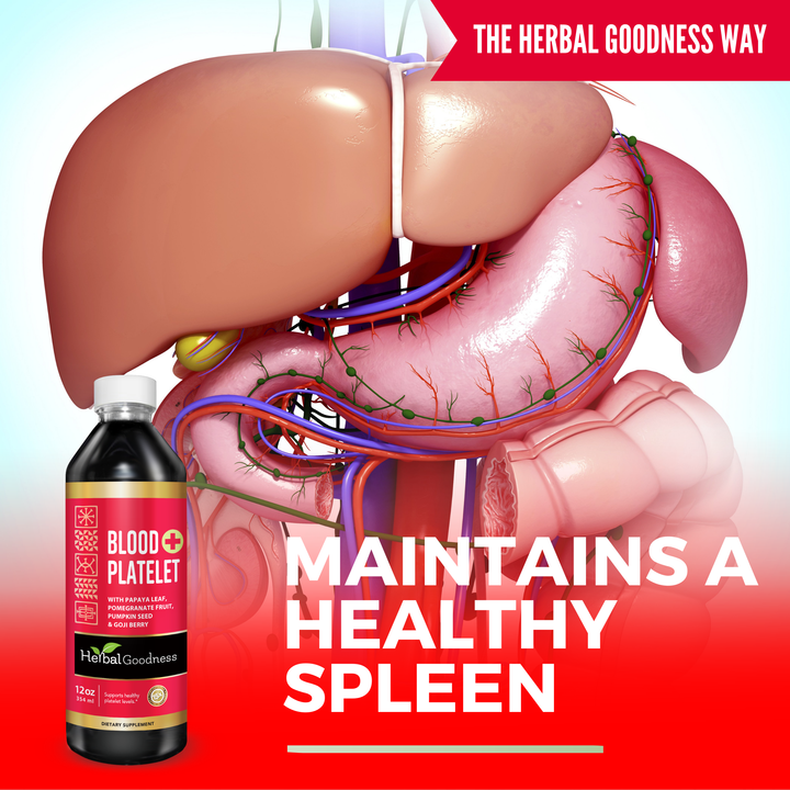 A dark glass bottle with white cap and red helbal goodness blood platelet liquid extract in front of internal organs illustration
