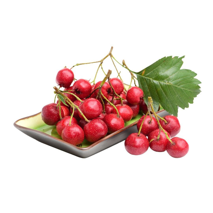 Premium Bulk Herbs Herbal Goodness Hawthorn Berries Whole Organic 16 