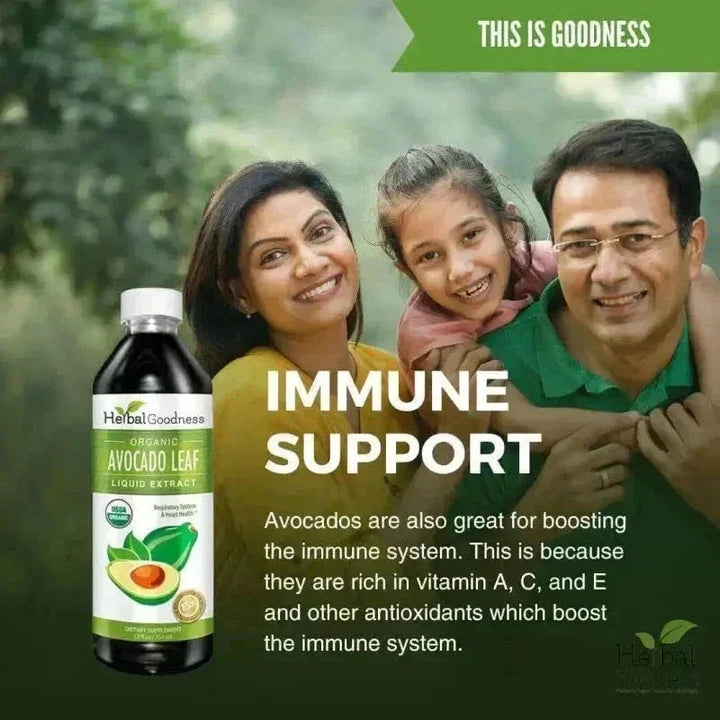 Avocado Leaf Extract - Liquid Extract - Herbal Goodness Liquid Extract Herbal Goodness 