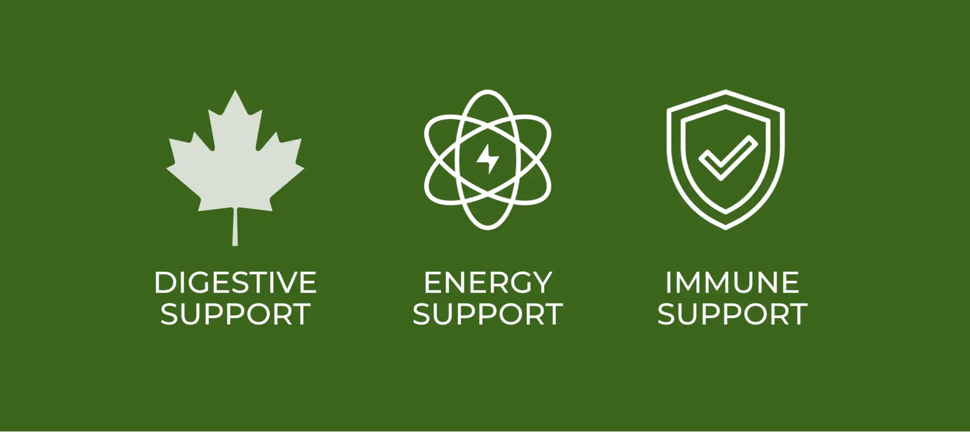 White line-art icons on a green background, each representing digestive support with a maple leaf, energy support with an atom and lightning bolt, and immune support with a shield.