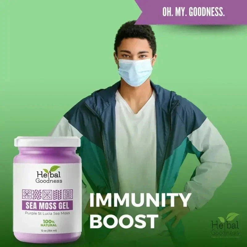 Sea Moss Gel 16 oz – Nutrient-Rich Superfood for Everyday Wellness – Herbal Goodness Gels Herbal Goodness 