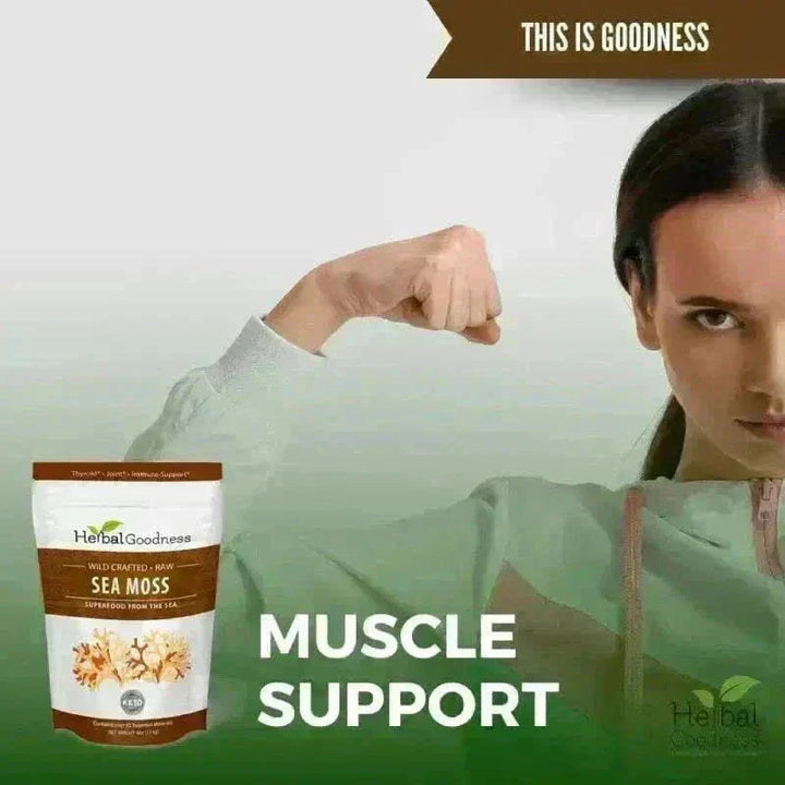 Sea Moss - Raw Dried from St Lucia - 8oz Bag - Nature's MultiVitamins Bulk Herb Herbal Goodness 