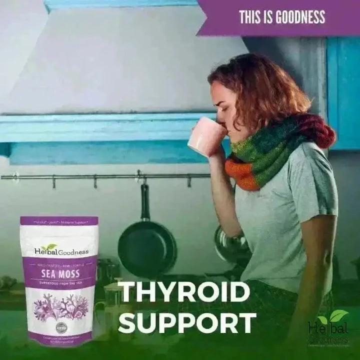 Sea Moss - Raw Dried from St Lucia - 8oz Bag - Nature's MultiVitamins Bulk Herb Herbal Goodness 