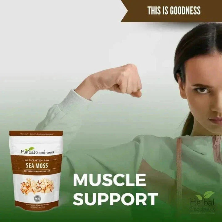 Sea Moss - Raw Dried Gold & Purple St Lucia - Immune Support - Herbal Goodness Bulk Herb Herbal Goodness 