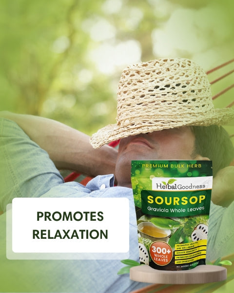 Soursop Graviola Leaf (Whole Leaves) - Organic - 300 + Leaves - Immune & Wellness Support