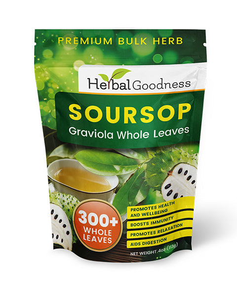 Soursop Graviola Whole Leaves – 300+ Leaves (4oz Buy Bulk Herb