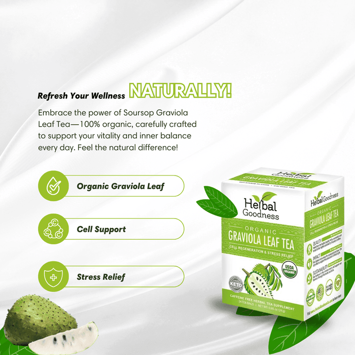 Soursop Leaf Tea Graviola Leaves - Organic 24/2g Tea Bags - Immunity & Cell Renew Tea & Infusions Herbal Goodness 