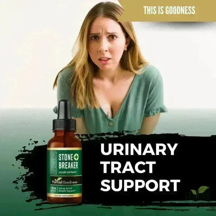 Stone Breaker Chanca Piedra Extract 15X Strength - Liquid Liquid Extract Herbal Goodness 