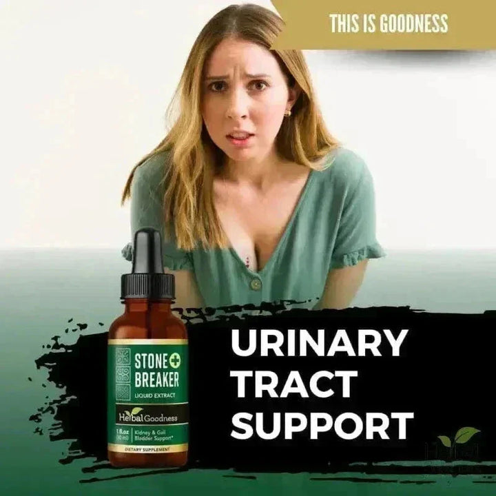 Stone Breaker Chanca Piedra Extract 15X Strength - Liquid - Herbal Goodness Liquid Extract Herbal Goodness 