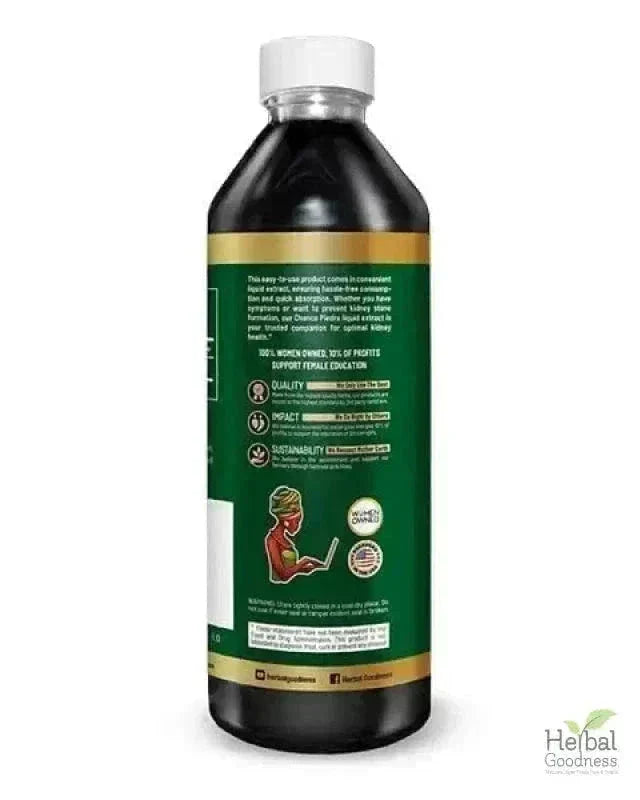 Stone Breaker Chanca Piedra Extract 15X Strength - Liquid - Herbal Goodness Liquid Extract Herbal Goodness 