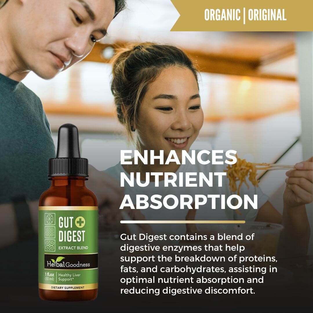 Gut Digest Plus - Organic - Liquid 12oz - Digestion & Enzyme Level Support - Herbal Goodness Liquid Extract Herbal Goodness 