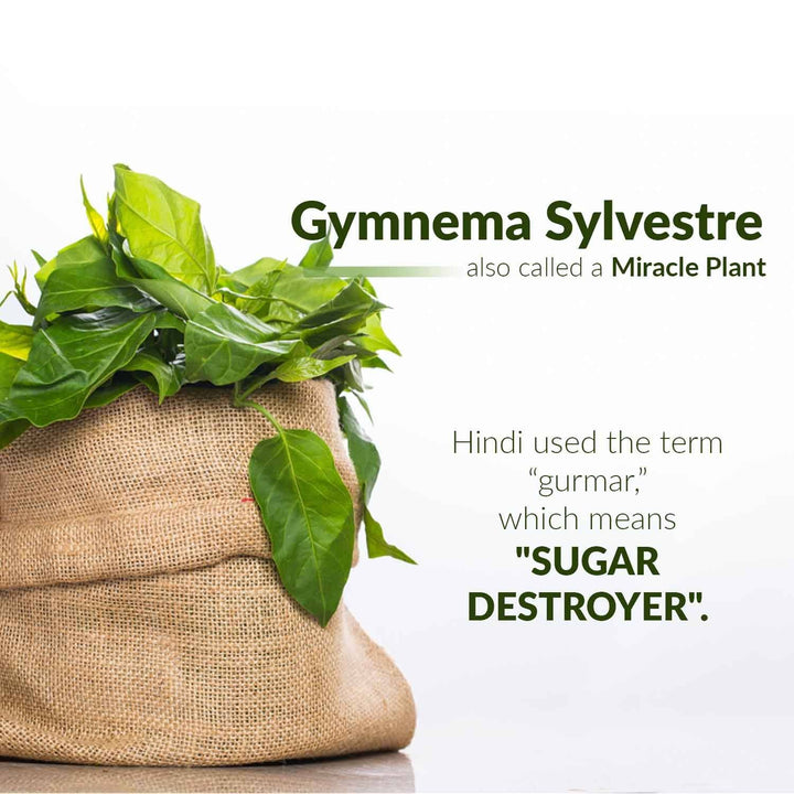 Gymnema Sylvestre Leaf Tea  - Healthy Gut and Sugar Regulator- By Herbal Goodness Tea & Infusions