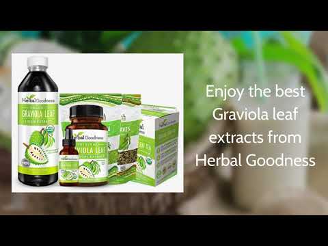Soursop Leaf Tea - Graviola Extract - Organic Teabags 24/1g - Cell Immunity & Relaxation - Herbal Goodness