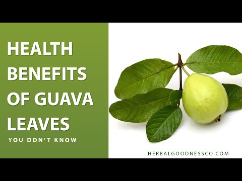 Guava Leaf Extract - Organic Liquid - Sleep & Relaxation - Herbal Goodness